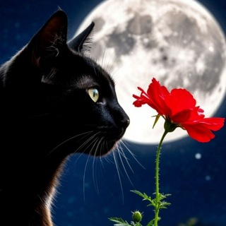 Ника 📚 Книжные сказки