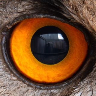 ОБЪЕКТИВ🎞️