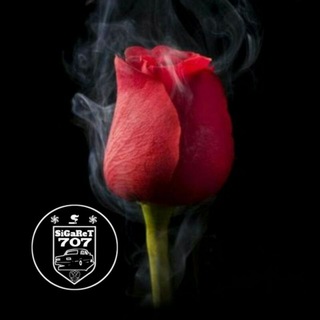 ▀▄▀▄▀▄░N░i░k░l░a░r▄▀▄▀▄▀