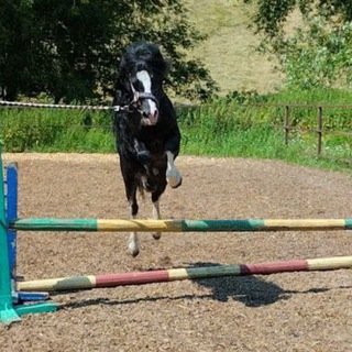 ✨•𝙀𝙦𝙪.𝙣𝙞𝙠𝙨𝙨•✨