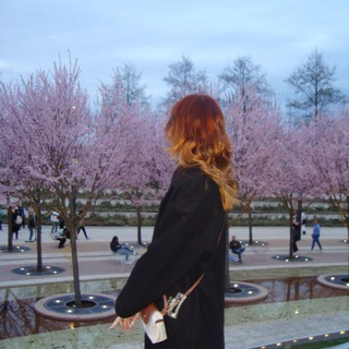 ksusha’s diary⋆˚ | нисеша