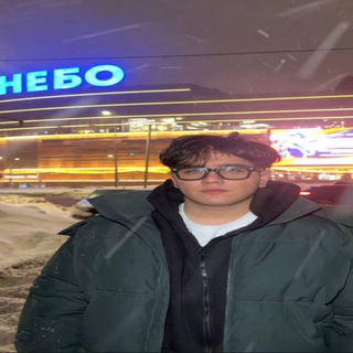 Амир Нишвел