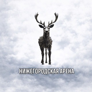 Нижегородская арена | Спорт Нижний Новгород