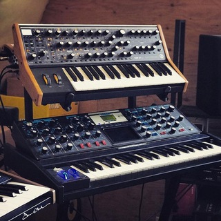 𝐍𝐚𝐬𝐞𝐧𝐣𝐨 ` | Spotify Mods