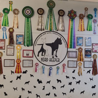 Жизнь в НК (РОО "ФСПСЕС И КС" По ЯНАО)