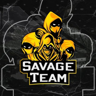 SAVAGE TEAM инфо