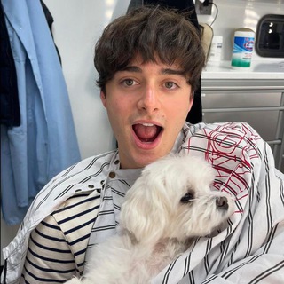 ноа шнапп нарезки,стикеры