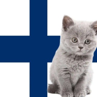 Северный хайп