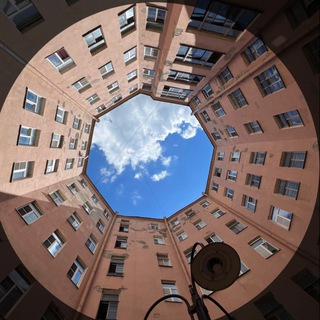 Нос по ветру, голову задрав