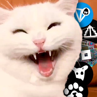 Не хомяк, а кот