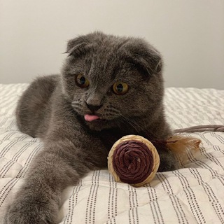 Несмешные мемы