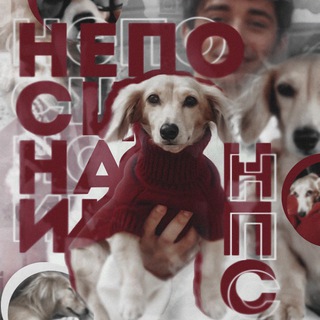 не по сценарию :: нᴨᴄ