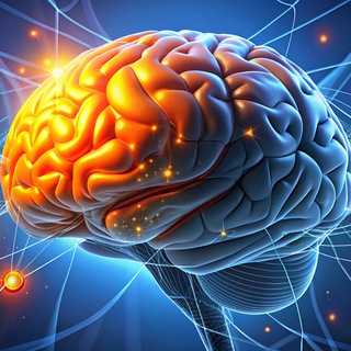 НавыкИИ нового времени|Novifex