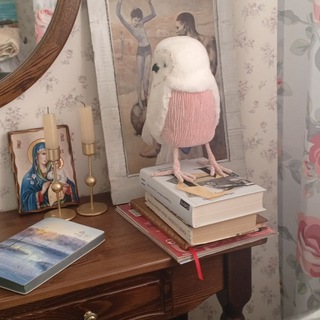 Внеклассные чтения🦉