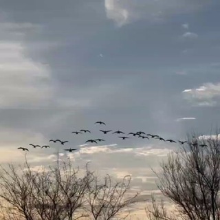 Новости! СНТ Плёс и Дубовый плес