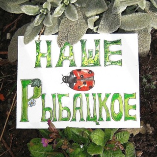 Рыбацкое - Невский район