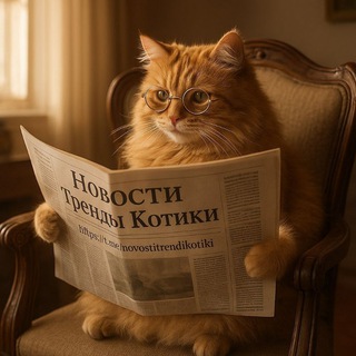 Новости / Тренды / Котики