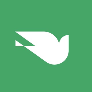 Видимый протест 💚