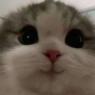 𝗡𝗼𝘄𝗸𝗶𝗲 | Красивые обои