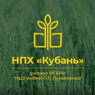 НПХ "Кубань"-филиал ФГБНУ НЦЗ им. П. П. Лукьяненко