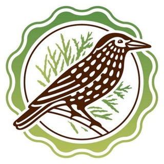 НПО "ДЭЛЬФА" - Здоровье начинается здесь!