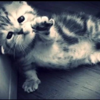 нищие рэперы в депрессии…