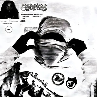 Движения NSFUCKERS