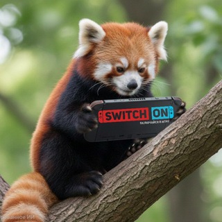 Nintendo Switch ON 🎮