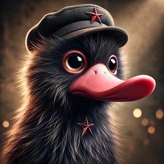 Товарищ Нюхль