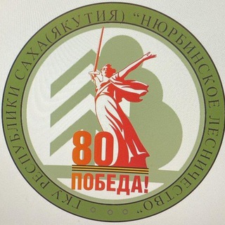 Нюрбинское лесничество🌲🌳