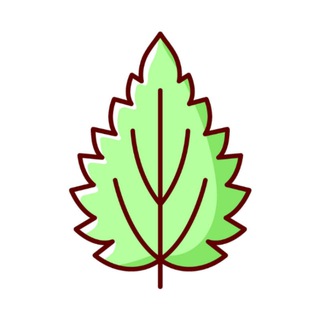 Музей Нушполы