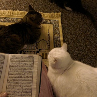 🫀 حُبُّ اللهِ لِلْعَبْد