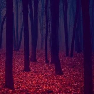 Мун Ибрагимович ты умрешь и т.д.