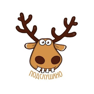 Подслушано Раменки