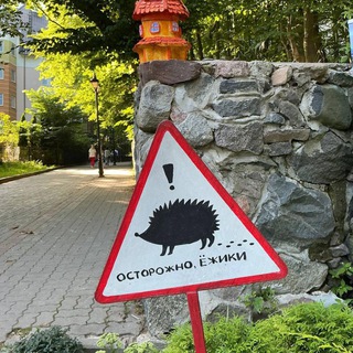 О наболевшем — ежиные мысли