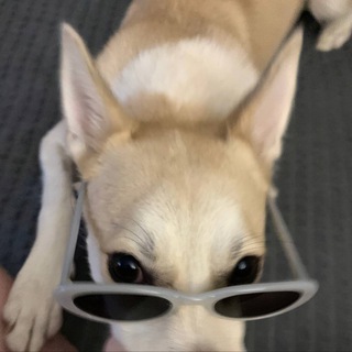 это что алканда