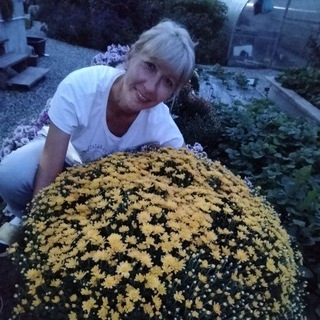 Цветочный оазис (новый)