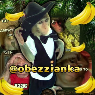 Гифки с бибизьянами 🐵🙈🐒