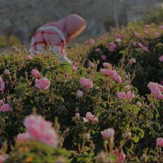 • Очищение вероубеждений