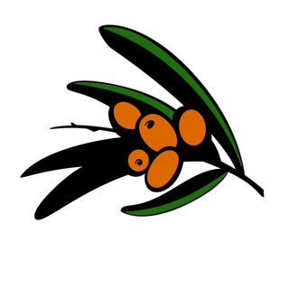 Облепиха - авторская керамика