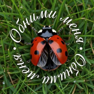 Обними меня