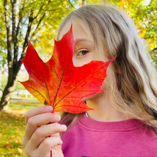 Обнять панду | Екатерина Домогатская