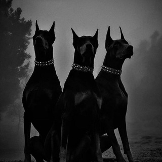 ✌️обои для пацанов 🔥