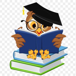 Образование.СтДороги