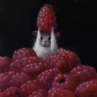 Taonga | Дневник находок