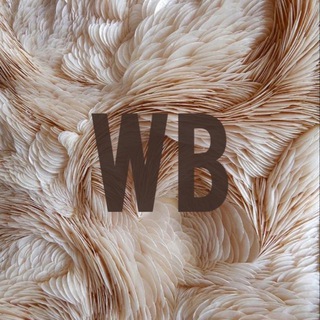 Обзоры с Wildberries👜