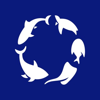 Океанариум РИО