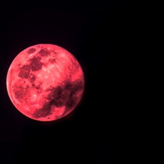 NFT розыгрыши / Frezze