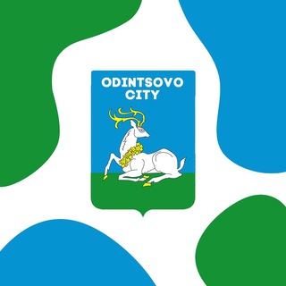 Одинцово Сити