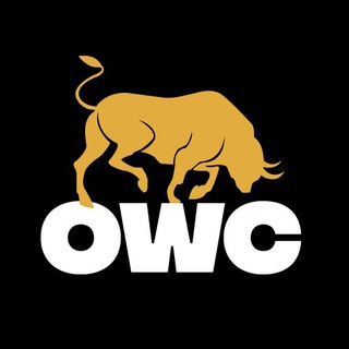 Oduwa coin-Decentralized digital currency.